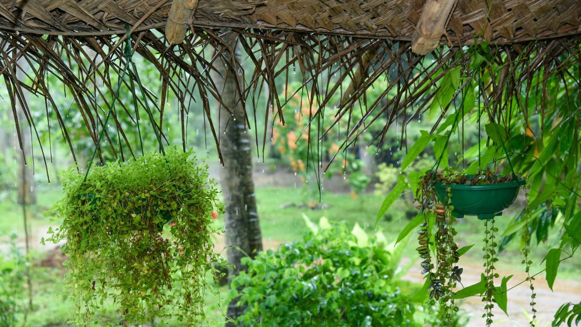 Prem Nadee Homestay Dambulla Dış mekan fotoğraf